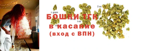 гашик Богородск