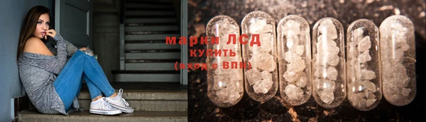 mdpv Богданович