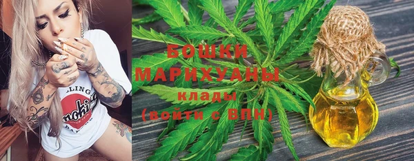 mdpv Богданович