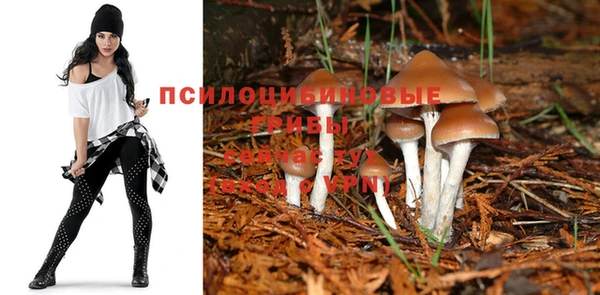 соль курить ск Бородино
