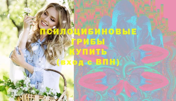 соль курить ск Бородино