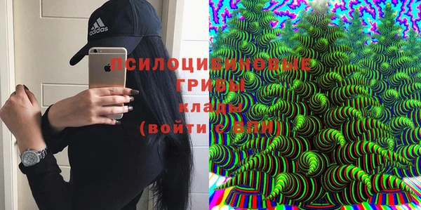 mdpv Богданович