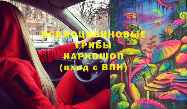 гашик Богородск