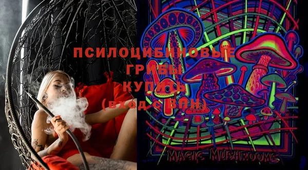 соль курить ск Бородино