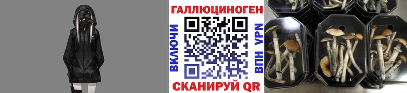 Псилоцибиновые грибы Magic Shrooms Жердевка
